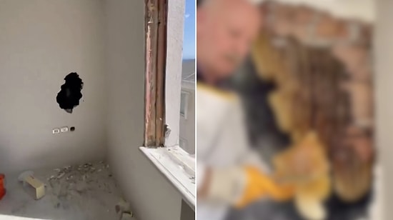 Shocking Discovery in Istanbul: Massive Bee Colony Uncovered Inside Wall During Renovation