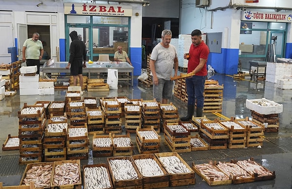 Limanlardaki yüksek rekolte hem sektör çalışanlarına hem tüketicilere moral verdi.