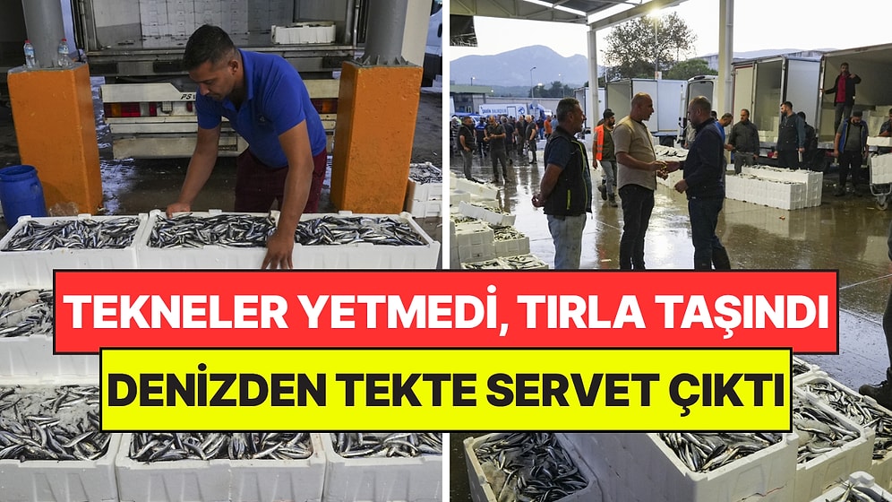 Denizden Tek Gecede Servet Çıkardılar: Tekneler Yetmeyince Tırlarla Taşıdılar