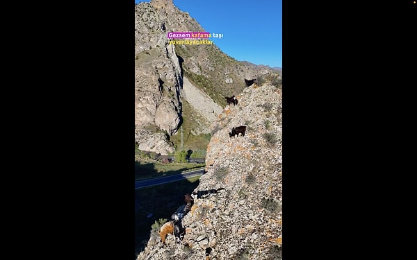 Teknoloji pek çok şeyi baştan aşağı değiştiriyor!