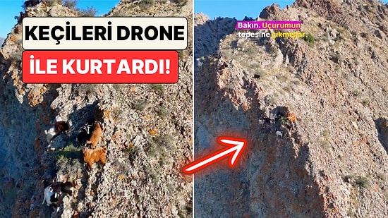 Teknolojiyi Mesleğine Entegre Eden Çoban Uçurumdaki Keçilerini Drone Sayesinde Fark Edip Güvenle Geri Getirdi