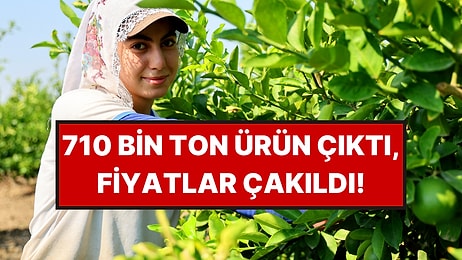 Bu Yıl Ürün Bol, Fiyatlar Dipte: Kilosu 6 Liraya Düştü