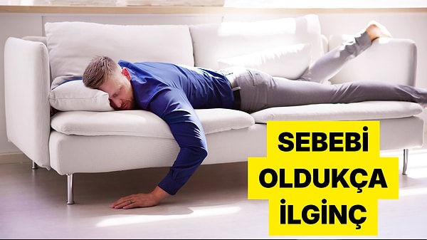 Koltukta Uyuyakalırken Yatağa Geçince Neden Uykumuz Kaçıyor?