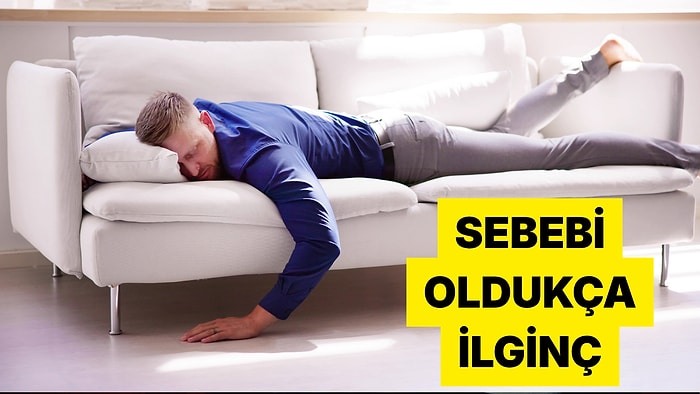 Koltukta Uyuyakalırken Yatağa Geçince Neden Uykumuz Kaçıyor?