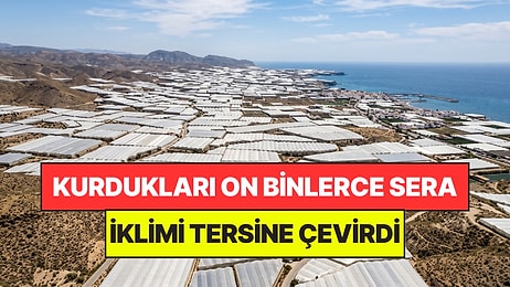 Çorak Toprakları On Binlerce Serayla Kapladılar: Doğanın Dengesi Altüst Oldu