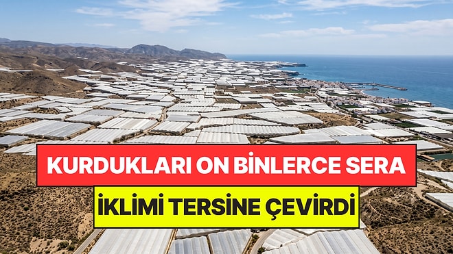 Çorak Toprakları On Binlerce Serayla Kapladılar: Doğanın Dengesi Altüst Oldu