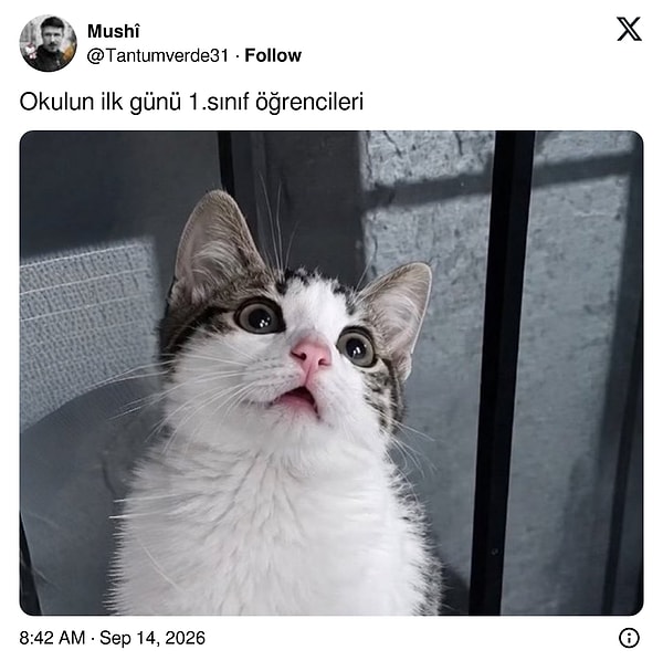 Okulun ilk günü birinci sınıf öğrencilerinin yüzündeki ifade tam olarak buydu