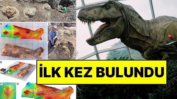 Bilim İnsanları İlk Kez Buldu: Yetişkin T-Rex'in Ayak İzleri Tam İnsan Boyutunda Çıktı