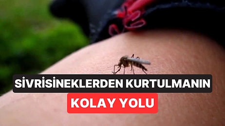 Sivrisineklerden Korunmanın Pratik Yolu: 2 Malzemeyle Hazırlanıyor
