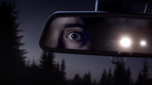 17. Alone (2020)