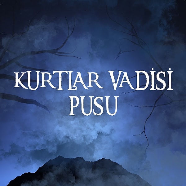 Haberlere göre soruşturmanın çıkış noktası, eski MİT mensubu Kaşif Kozinoğlu'nun 12 Kasım 2011'de Silivri Cezaevi'nde şüpheli bir şekilde hayatını kaybetmesi oldu.