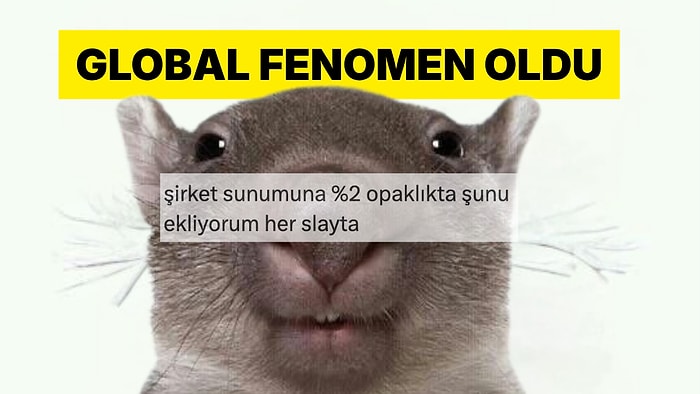 Bir Türk Kullanıcının Sincap Şakası Dünya Çapında Viral Oldu