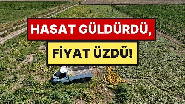 Ekti, Biçti, 80 Ton Verim Aldı: Ama Yüzü Fiyattan Gülemedi