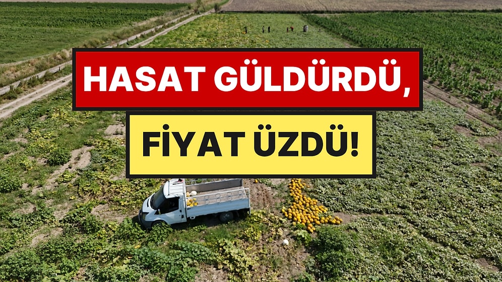 Ekti, Biçti, 80 Ton Verim Aldı: Ama Yüzü Fiyattan Gülemedi