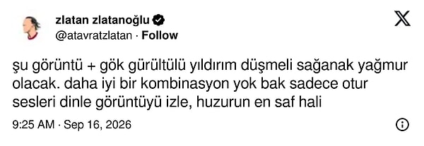👇🏻