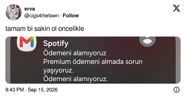 Ne bu panik?
