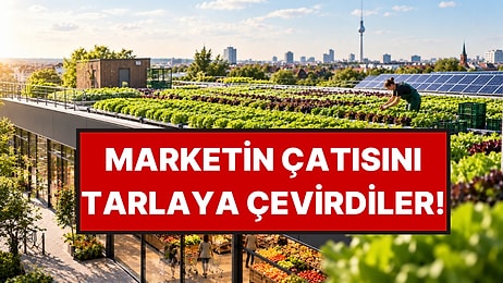 Bu Marketin Çatısında Tarla Var: Marullar Aynı Gün Rafa İniyor