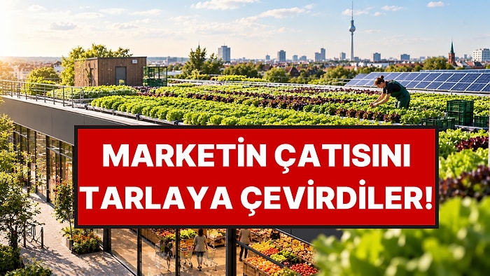 Bu Marketin Çatısında Tarla Var: Marullar Aynı Gün Rafa İniyor