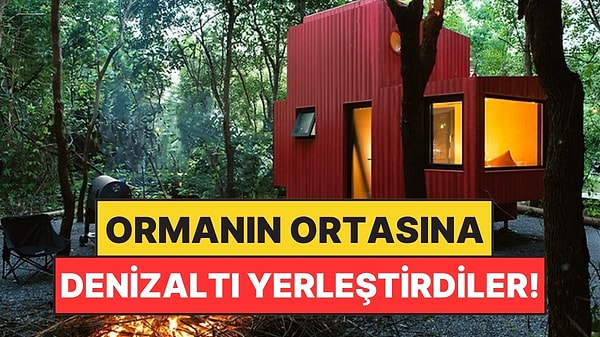 20 Metrekarelik Denizaltı Evi Ormana Kuruldu