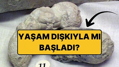 Bilim İnsanları, Yaşamın Devasa Bir "Dışkı Patlamasından" Sonra Evrildiğini İddia Ediyor