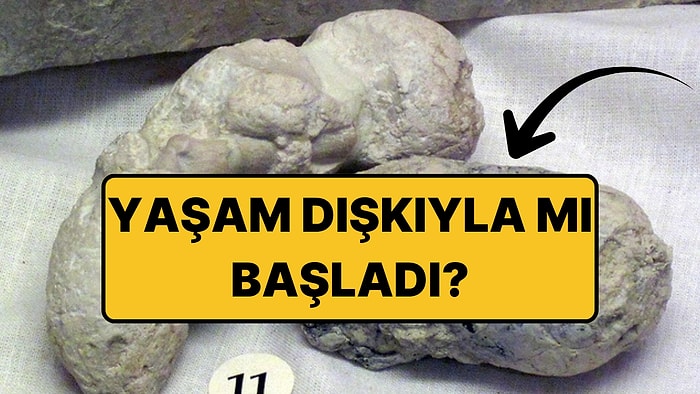 Bilim İnsanları, Yaşamın Devasa Bir "Dışkı Patlamasından" Sonra Evrildiğini İddia Ediyor
