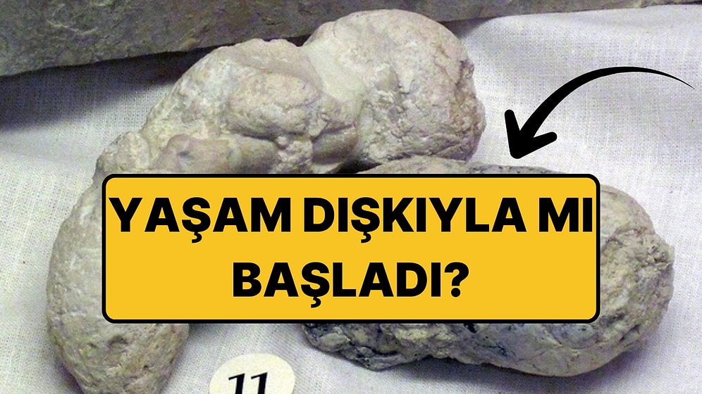 Bilim İnsanları, Yaşamın Devasa Bir "Dışkı Patlamasından" Sonra Evrildiğini İddia Ediyor
