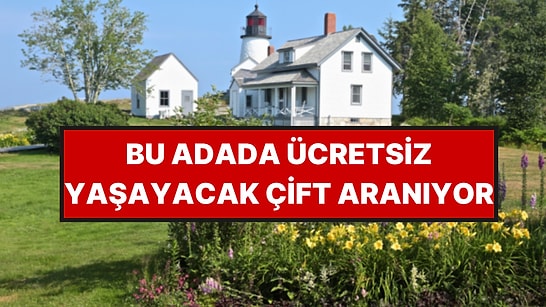 Adadaki Deniz Fenerinde Bedava Yaşayacak Bir Çift Arıyorlar: Şartları Çok Basit
