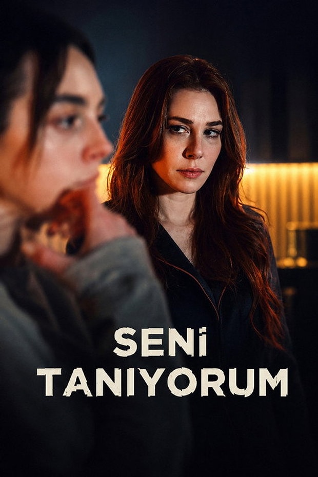 Seni Tanıyorum Posteri