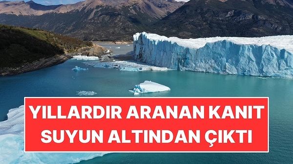 Park Görevlisi Tesadüfen Keşif Yaptı