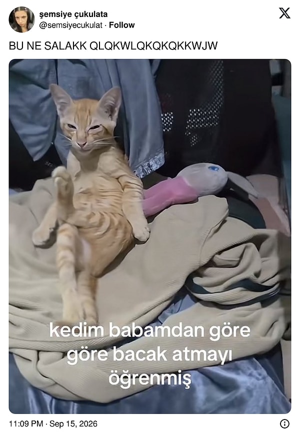 Bakış da baba bakışı...