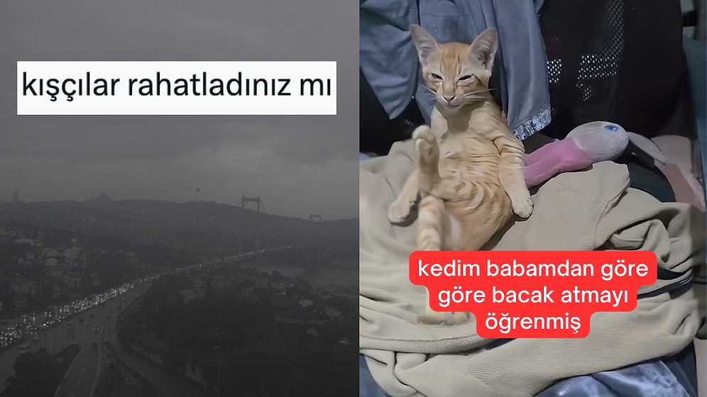 Yazcı Kışçı Çekişmesinden Babaya Özenen Kediye Son 24 Saatin Viral Tweetleri