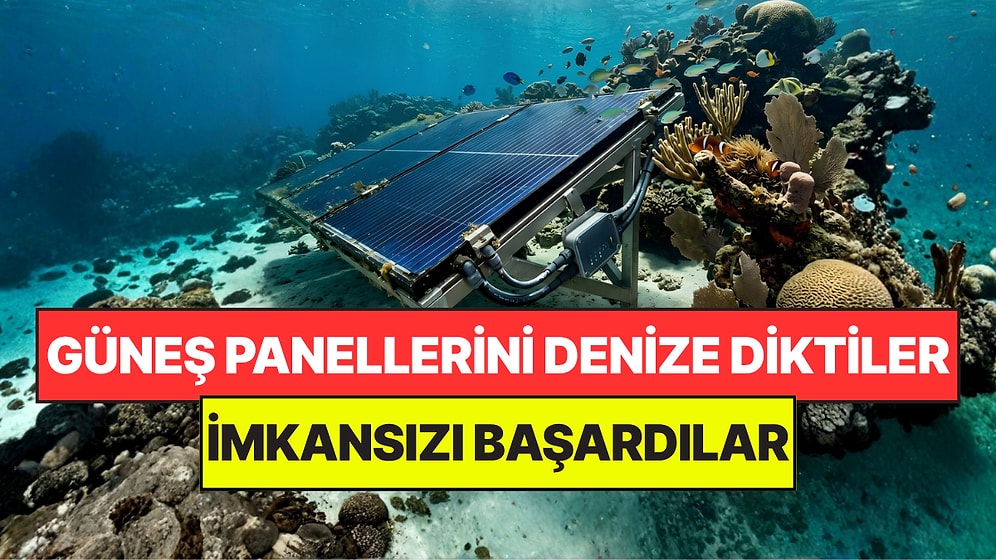 Güneş Panellerini Denizin Altına Dizerek İmkansızı Başardılar