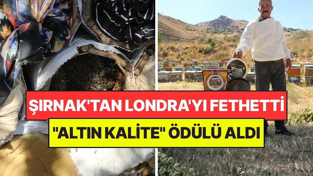 Şırnak'tan Çıkarak Londra'yı Fethetti: "Altın Kalite" Ödülü İle Dünyada İlk Sıralarda