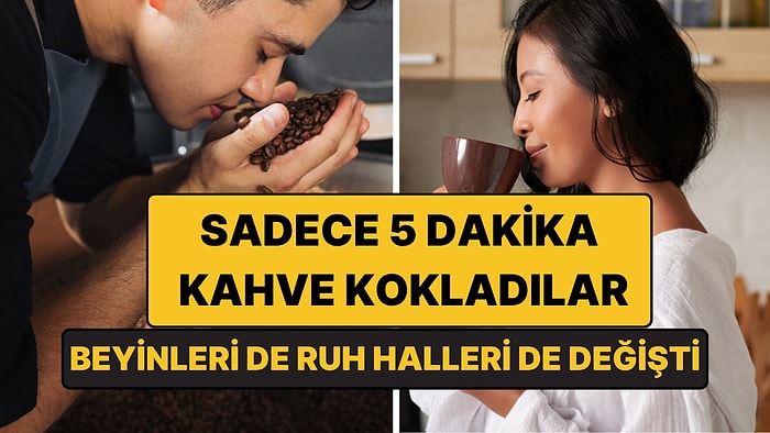 Sadece 5 Dakika Kahve Kokladılar: Beyin Dalgaları da Ruh Halleri de Değişti