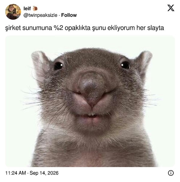 Dünyanın güldüğü paylaşım...