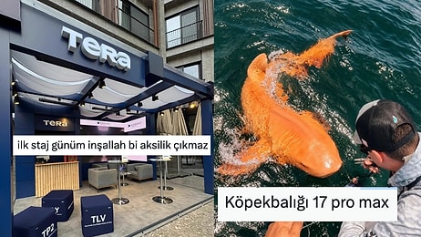 Hayattaki Şansımızdan Teknolojik Şakalara Son 24 Saatin Viral Tweetleri