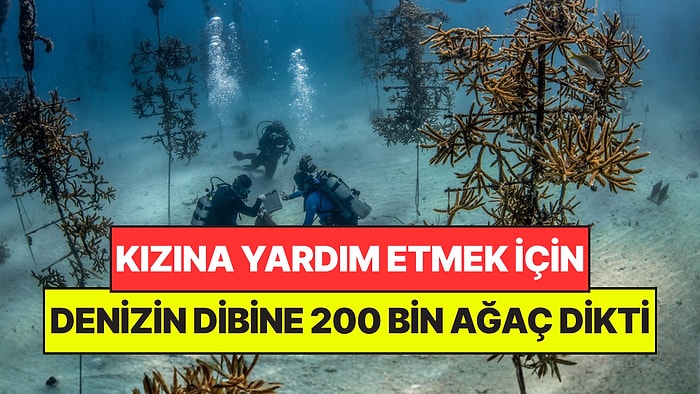 Kızına Yardım Etmek İçin Denizin Dibine 200 Bin Ağaç Dikti: Okyanusu Kurtardı