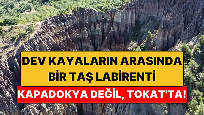 Dev Kayaların Arasında Bir Taş Labirenti: Tokat'ın Gizli Kanyonu Dilim Kayalar'ın Sırrı
