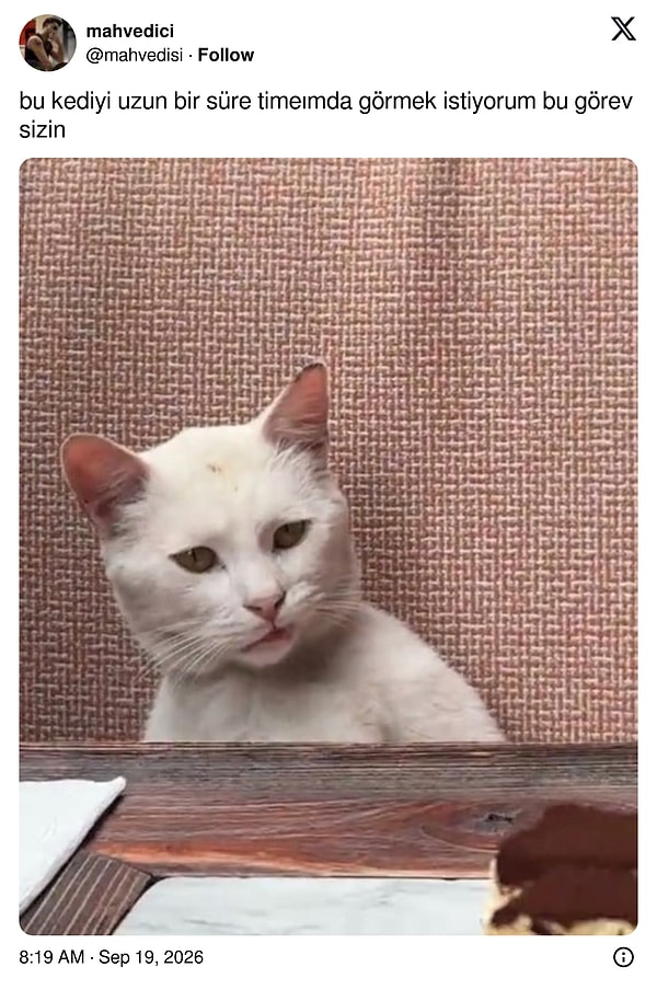 Bazıları timeline'ında sürekli görmek istedi: