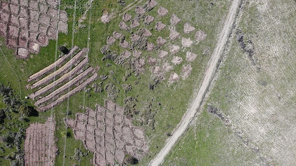 Geliştirilen su tutma tekniği sayesinde fidanların büyüme hızı ve iklim krizine karşı direnci yükseliyor