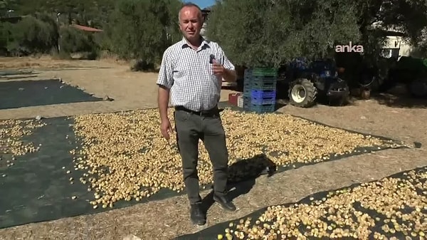 Artan Üretim Giderleri İle Düşen Satış Fiyatları Çiftçiyi Zarara Uğratıyor