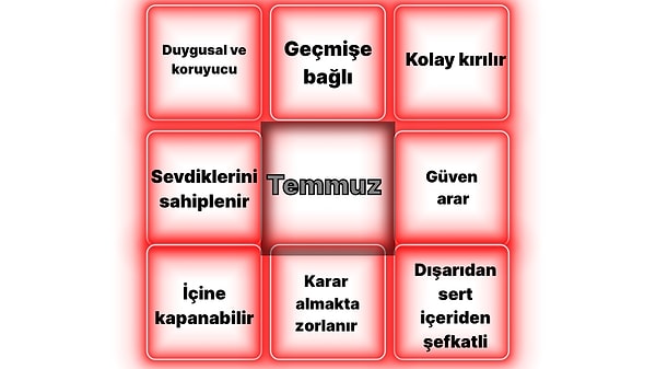 Duygusal Koruyucu Profil