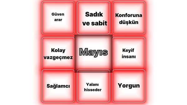 Güvenli Liman Profili