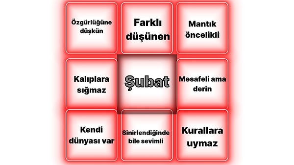 Özgün Zihin Profili