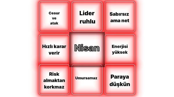 Ateşli Lider Profili