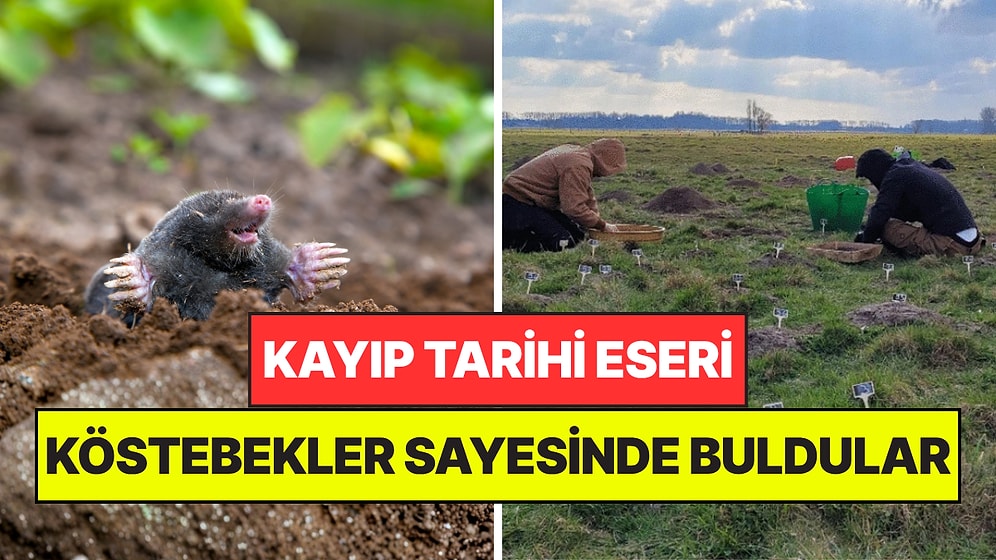 800 Yıldır Bulunamayan Tarihi Malikaneyi Köstebekler Sayesinde Buldular