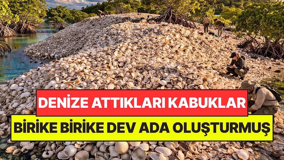 1200 Yıl Önce Attıkları Deniz Kabukları Birikerek 3 Bin Metre Karelik Adaya Dönüştü