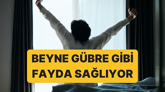 Beyin İçin Gübre Gibi: Nöroloğun Asla Atlamadığı 15 Dakikalık Sabah Alışkanlığı