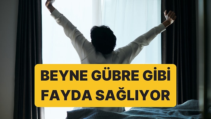 Beyin İçin Gübre Gibi: Nöroloğun Asla Atlamadığı 15 Dakikalık Sabah Alışkanlığı
