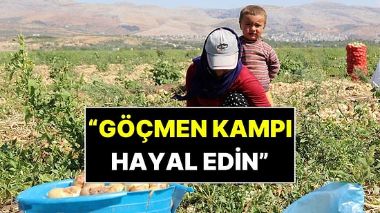 'Göçmen Kampı Gibi': Mevsimlik İşçi Çadırlarında Çocuk İşçiliği Gerçeği Ortaya Çıktı